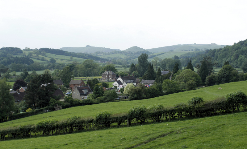 Mapleton Mapleton